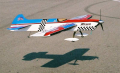 Japanese Stunter from the 2004 World Championships